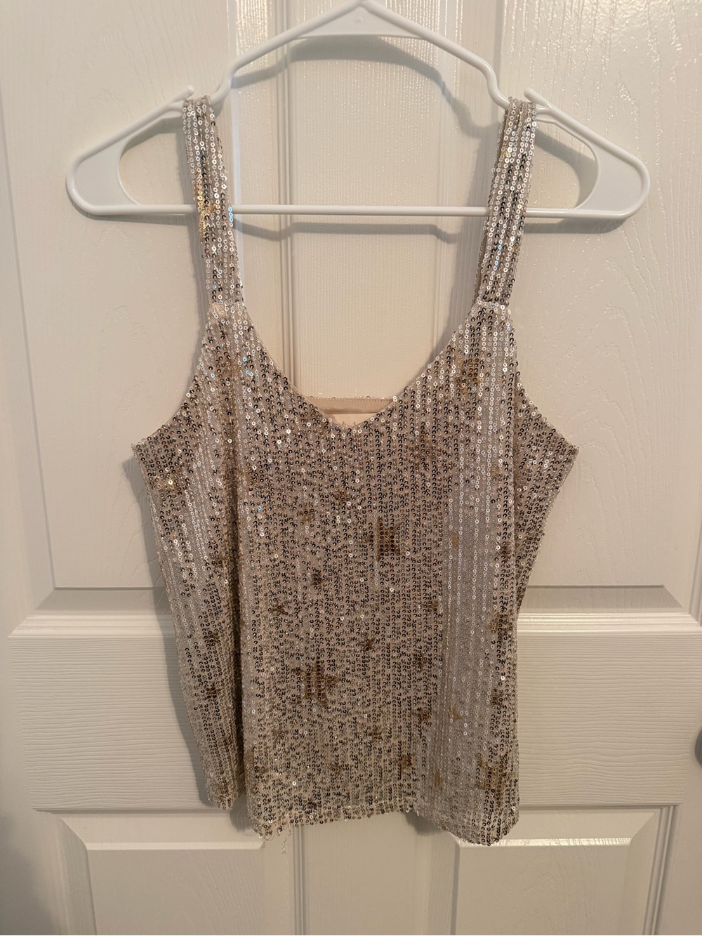 Altar'd State Sequin Camisole in Gold and Silver